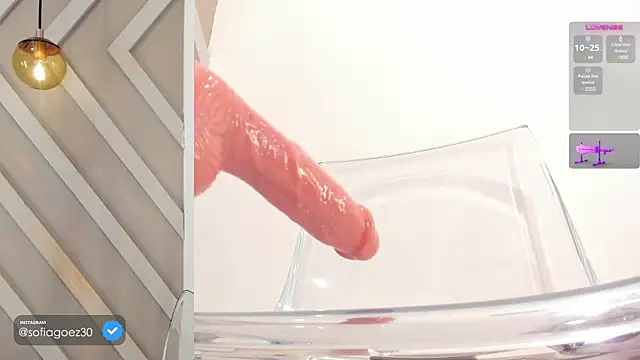 Snapshot of SOFIAGOEZ30 chatting on February 21, 10:39 am SOFIAGOEZ30 online show from February 21, 10:39 am