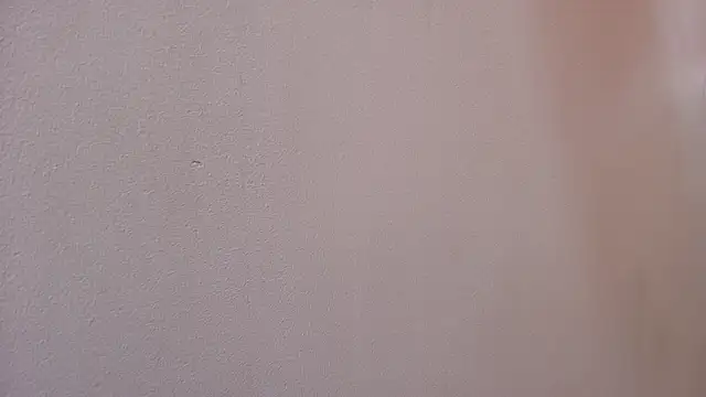 Snapshot of mss_samy chatting on February 21, 3:12 am mss samy online show from February 21, 3:12 am