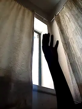 Snapshot of Cocowett chatting on October 10, 12:26 pm Cocowett online show from October 10, 12:26 pm