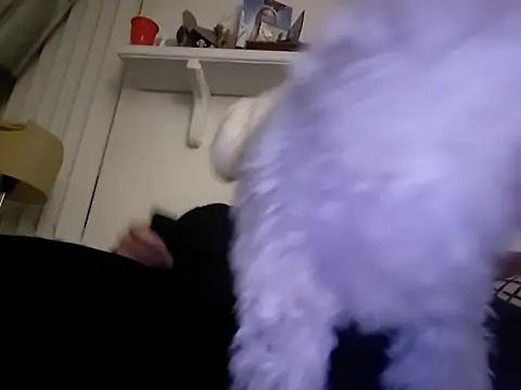 Hand69someguy online show from January 10, 6:37 am