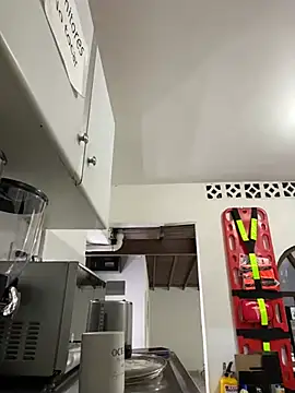 suzanelee online show from January 12, 3:03 pm