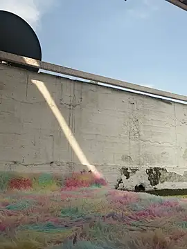 suzanelee online show from March 10, 2:05 pm