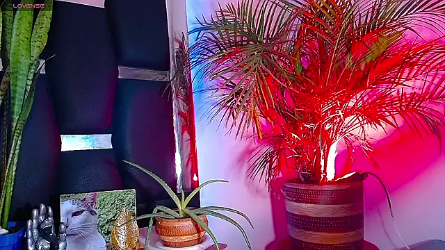 RyanRizzo online show from January 22, 7:24 pm