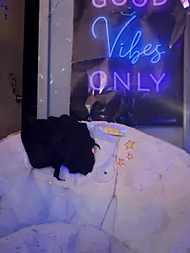 Snapshot of fantasymade69 chatting on November 8, 6:46 am fantasymade69 online show from November 8, 6:46 am