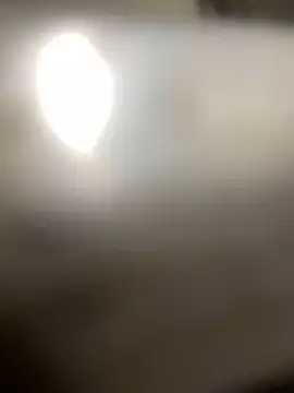 Cesywet online show from February 23, 9:44 am