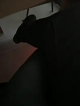 Snapshot of homidor chatting on December 20, 2:16 pm homidor online show from December 20, 2:16 pm