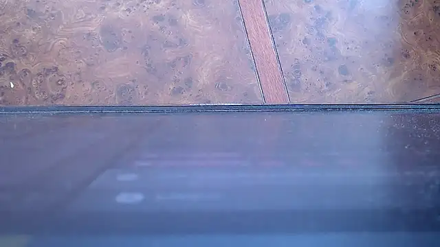 SusanLeroy online show from November 12, 3:45 pm