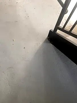 zeekBbc online show from October 27, 2:21 pm