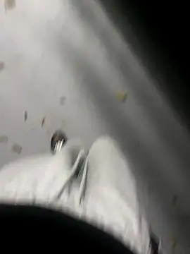 zeekBbc online show from November 16, 10:43 am