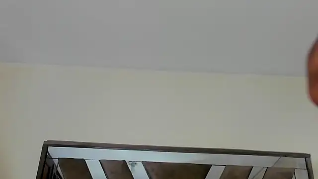 sara williams01 online show from February 8, 1:11 pm