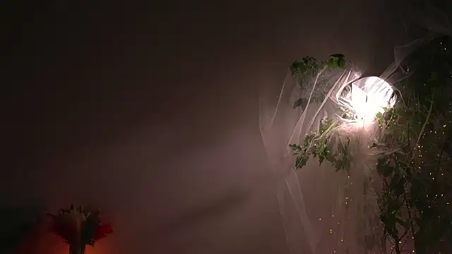 lorrie love story online show from October 7, 8:55 am