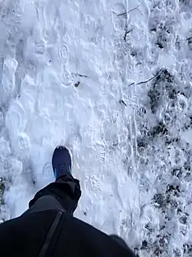 OdinWolf1990 online show from January 10, 8:49 am