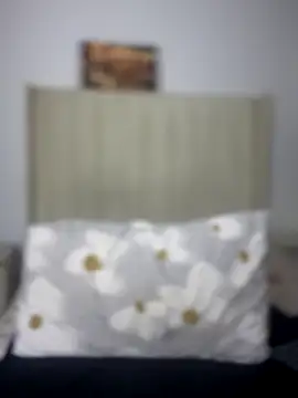 BhadBhad Kitty online show from October 8, 4:21 am