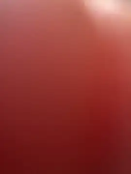 Snapshot of portugadopau chatting on September 10, 4:07 pm portugadopau online show from September 10, 4:07 pm