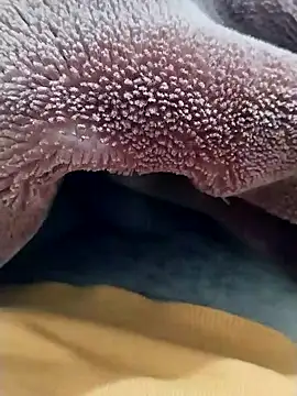 Snapshot of Sumitlive24MBD chatting on December 17, 11:27 pm Sumitlive24MBD online show from December 17, 11:27 pm