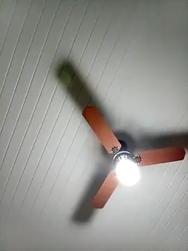 picadura1988 online show from September 22, 7:10 am