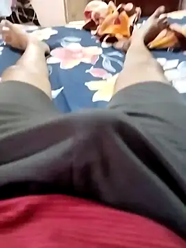 hoty horse online show from October 24, 4:31 am