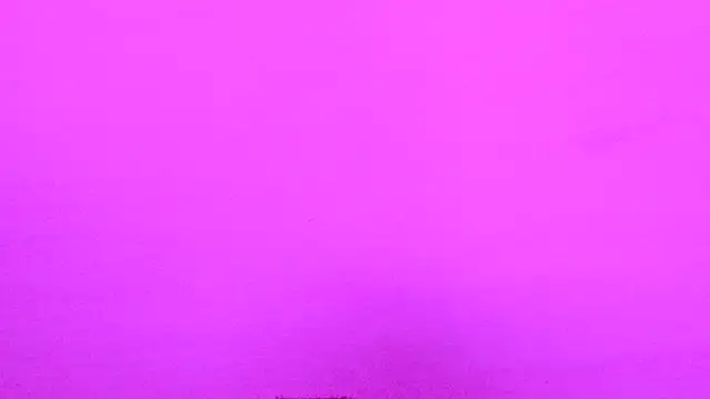 Habibi big b online show from November 16, 11:49 am