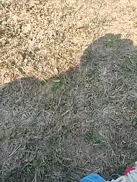 Snapshot of Gururonny07 chatting on January 27, 7:45 am Gururonny07 online show from January 27, 7:45 am