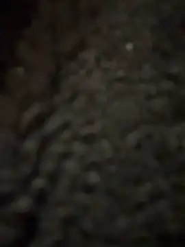 cicciolina online show from January 31, 9:16 pm