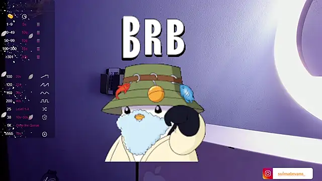  sulmatevans  online show from January 24, 11:48 am