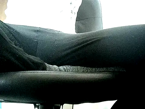 Snapshot of Bigone_Cro chatting on November 16, 12:00 pm Bigone Cro online show from November 16, 12:00 pm