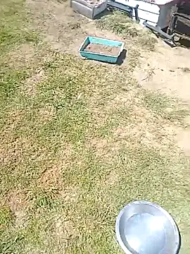 Snapshot of hornyhippies0080 chatting on March 4, 9:59 am hornyhippies0080 online show from March 4, 9:59 am