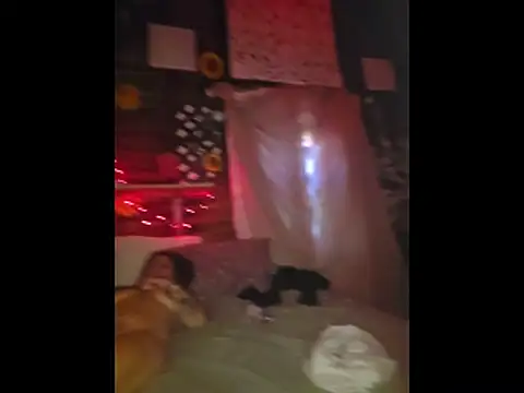 pdoc07 online show from April 27, 5:11 pm