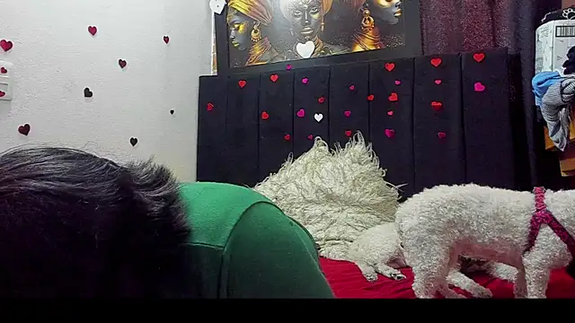 Evaaross 2345 online show from June 4, 8:37 pm