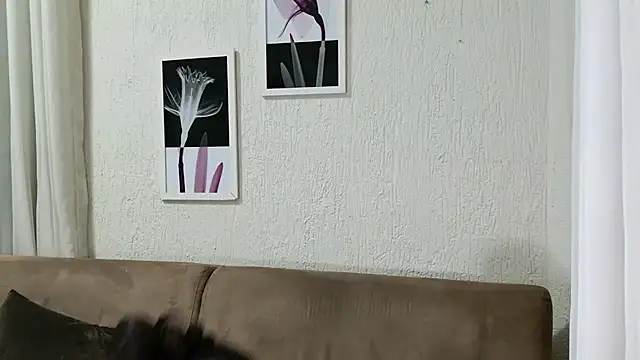 Blue butterfly online show from March 14, 5:05 am