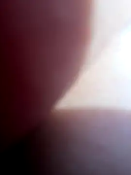 Blue butterfly online show from September 28, 6:13 pm