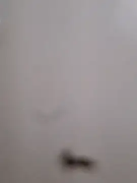 BriannaVincent online show from September 13, 4:01 am