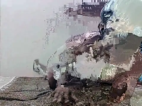 Snapshot of HunkyAriyan chatting on November 11, 1:44 pm HunkyAriyan online show from November 11, 1:44 pm