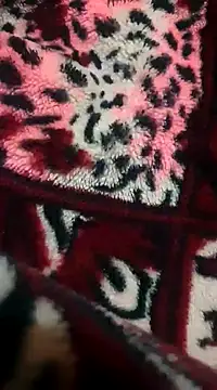 Snapshot of pinky801 chatting on December 30, 7:32 pm pinky801 online show from December 30, 7:32 pm