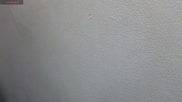 JESSYCORTES online show from February 17, 2:04 pm