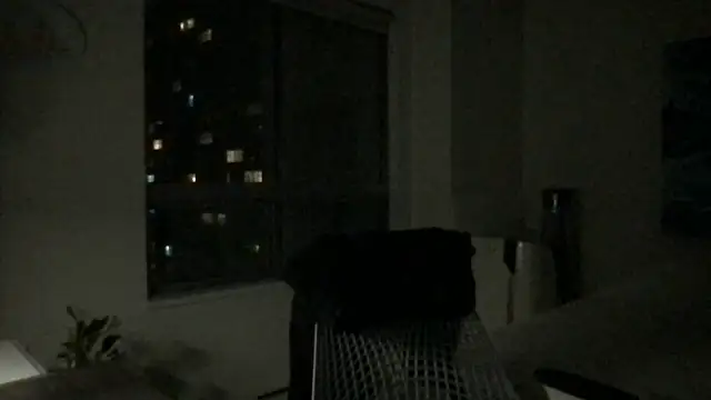 Snapshot of Gingerbushguy chatting on December 29, 9:39 am Gingerbushguy online show from December 29, 9:39 am