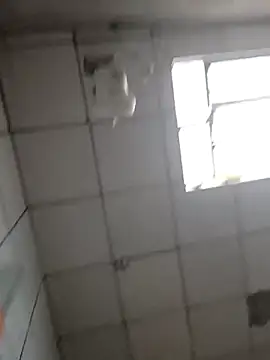 DitchingThrottle online show from March 19, 12:31 pm