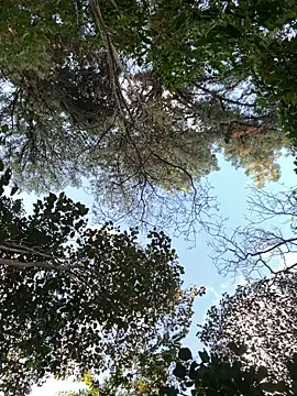  PhillipBrown online show from September 10, 11:32 am