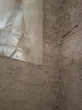 Snapshot of strip_1212 chatting on November 29, 5:27 pm strip 1212 online show from November 29, 5:27 pm