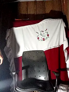 Snapshot of TokenishTongs chatting on November 20, 9:25 pm TokenishTongs online show from November 20, 9:25 pm