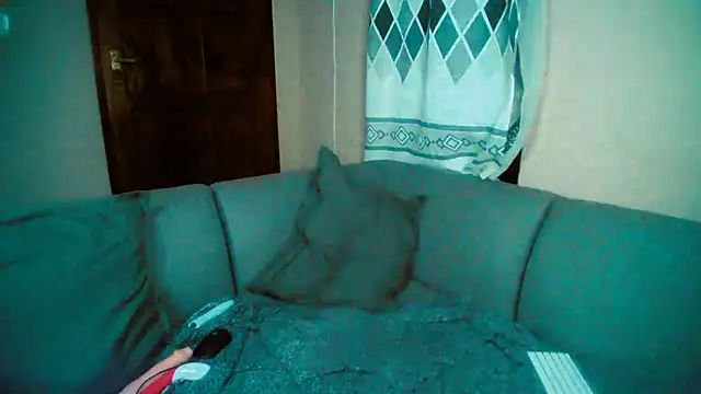 GoldenPussyXOXO online show from December 5, 11:40 pm