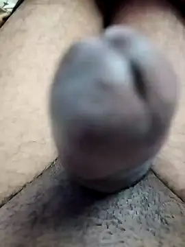 dick 01728 online show from January 19, 3:42 pm