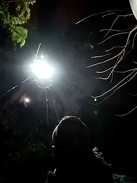 dick 01728 online show from February 9, 2:18 pm