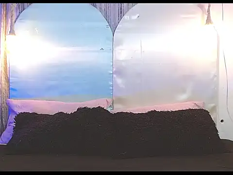 Snapshot of tylor_boy chatting on January 7, 4:26 am tylor boy online show from January 7, 4:26 am