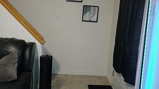 Thekodyy online show from November 17, 12:33 pm