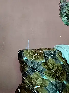 Indian Carolina online show from February 27, 8:17 am