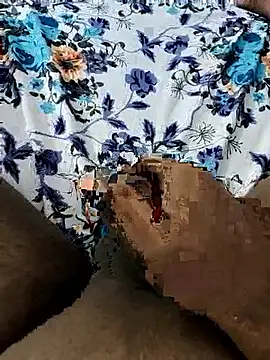 Mallu Curator online show from November 9, 1:31 pm