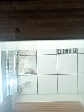 pintuS40 online show from January 6, 3:31 am