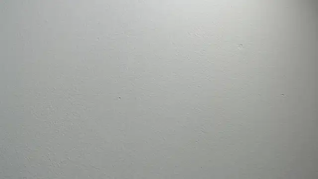 sussy leon online show from February 11, 12:16 pm