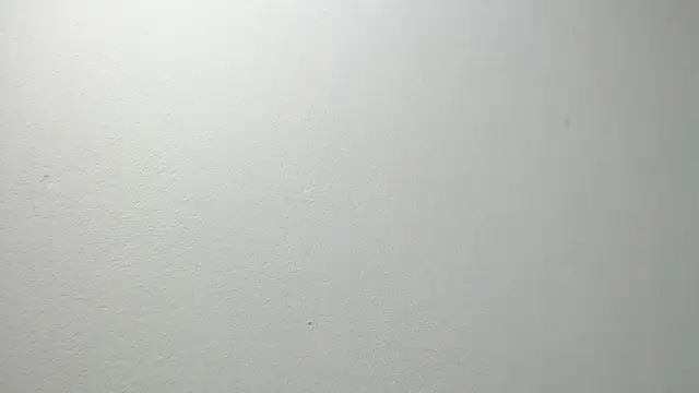 sussy leon online show from February 20, 12:15 pm